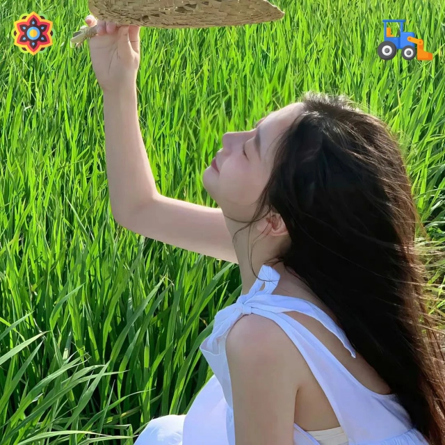 亚星官网用户头像3